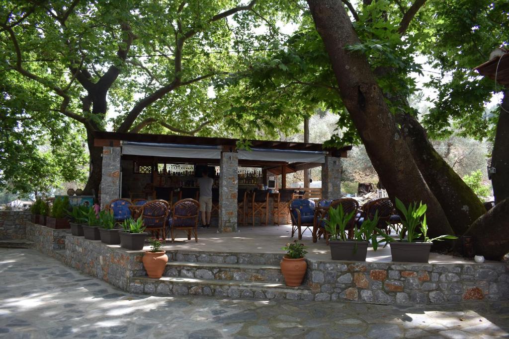 a restaurant with tables and chairs under a tree at Hotel Zachos in Troulos