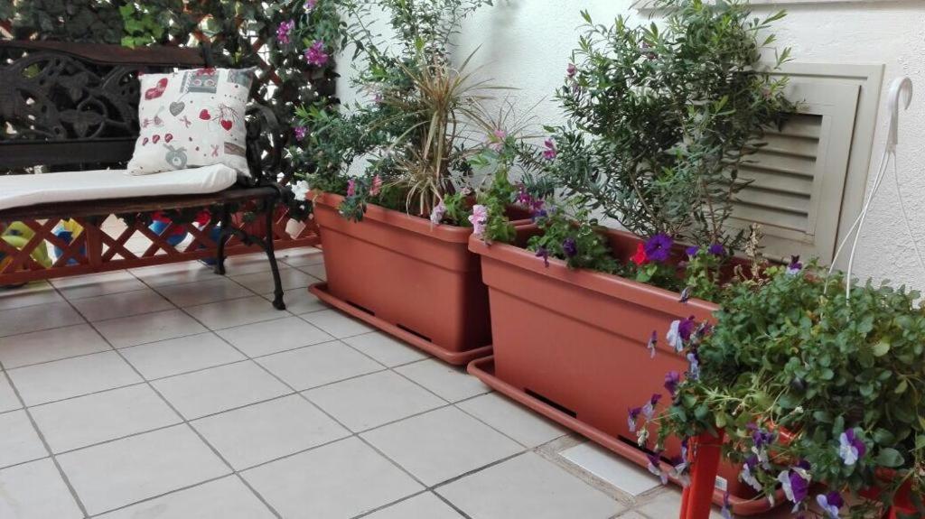 a bunch of plants in pots on a patio at A casa di Gio’ in Marsala