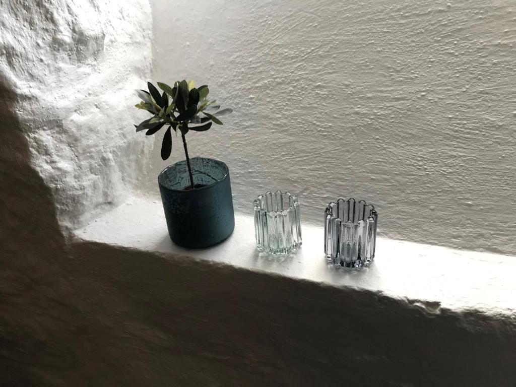 Fotografie z fotogalerie ubytování Arctic Garden v destinaci Lødingen