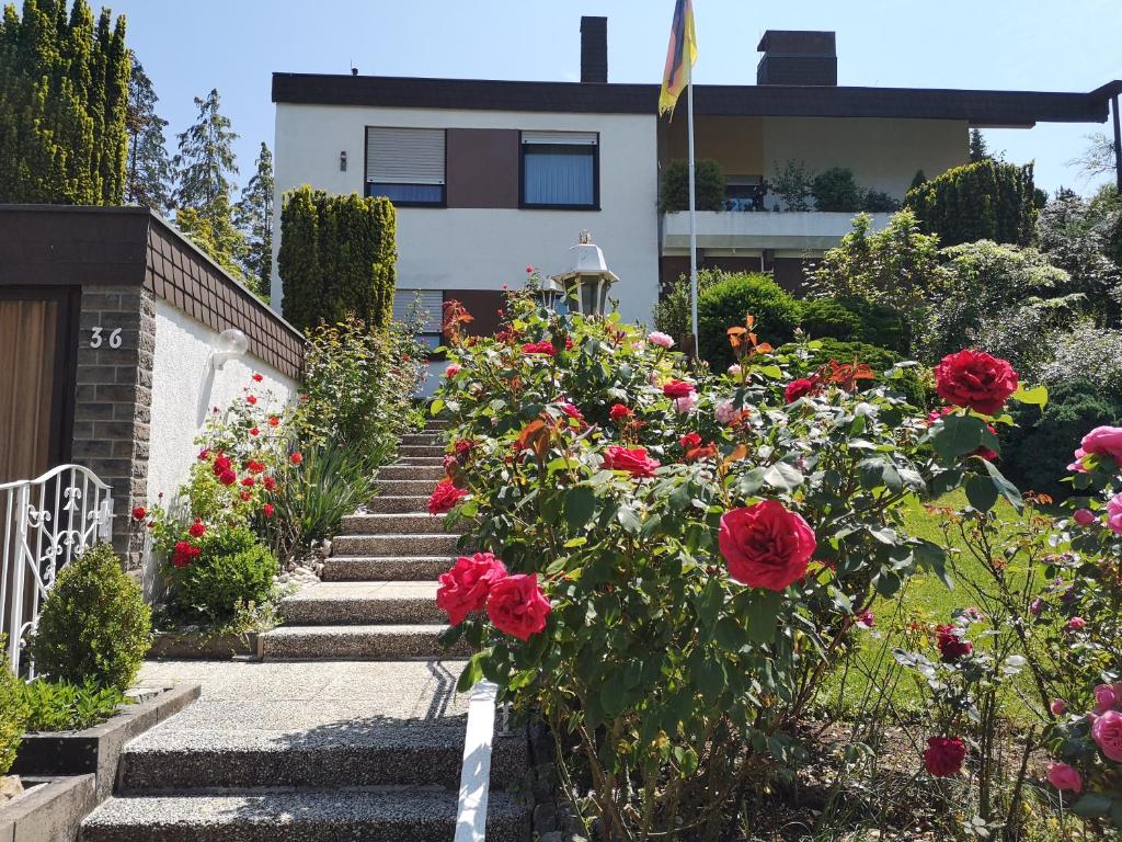 a garden with red roses in front of a house at Apartments Gala, ruhige Lage, stadtnah in Bad Kissingen