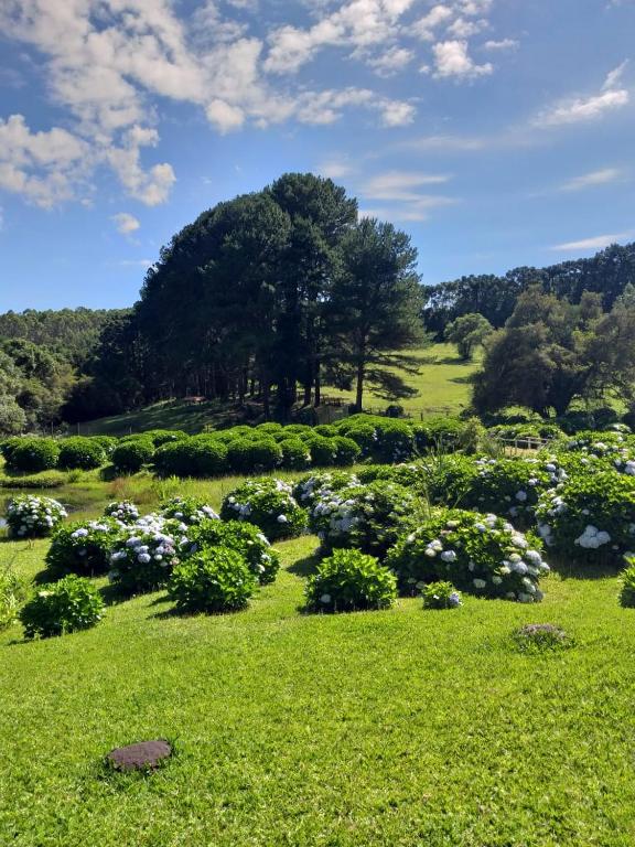  Hotel Fazenda Floresta Negra