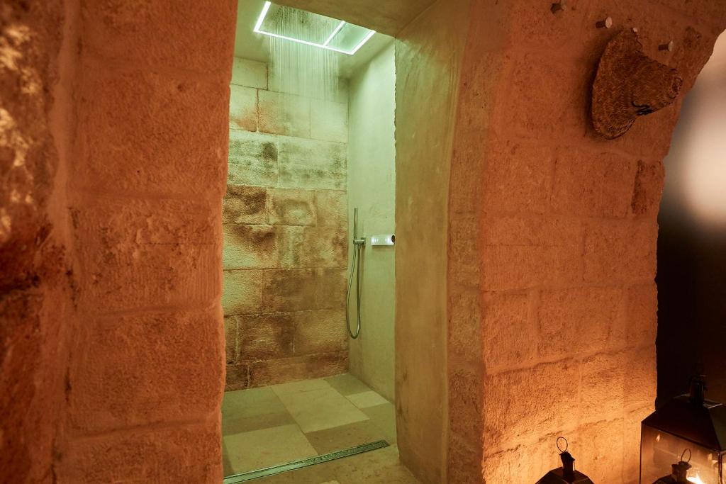 a bathroom with a walk in shower next to a stone wall at Musae Relais & SPA in Polignano a Mare