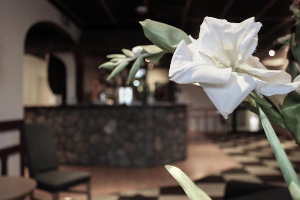 a white flower sitting on a table in a room at Euroway Hotel in Gothenburg