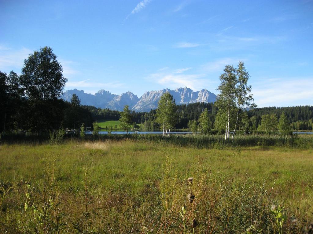 Příroda nedaleko apartmánu