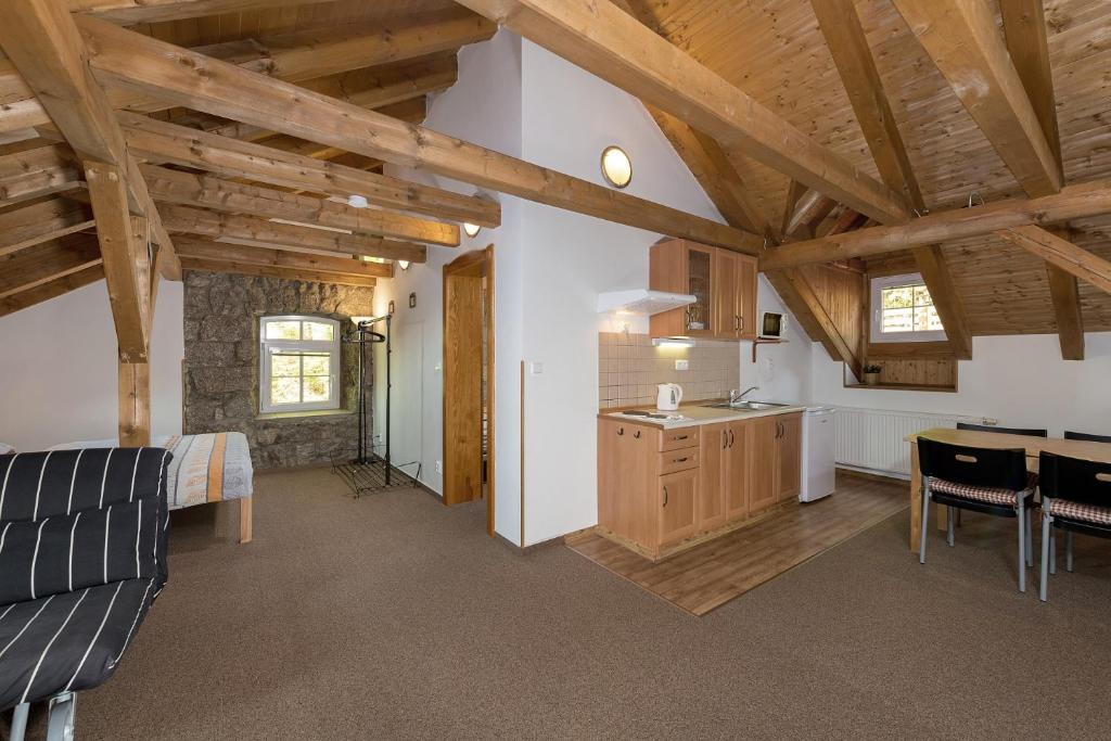 Kuchyň nebo kuchyňský kout v ubytování Penzion Solaris