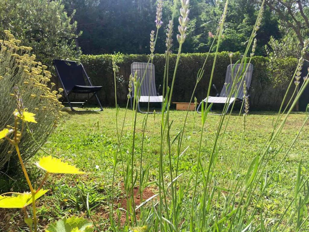 Vonkajšia záhrada v ubytovaní Studio apartment 365