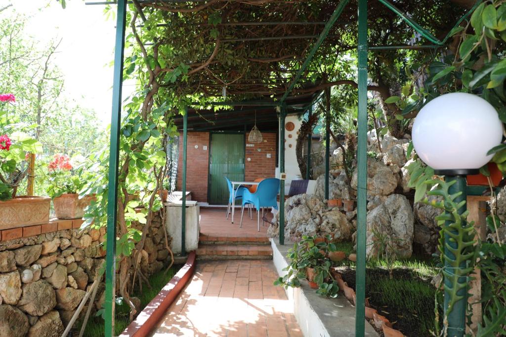 Ogród w obiekcie Casa Elvira