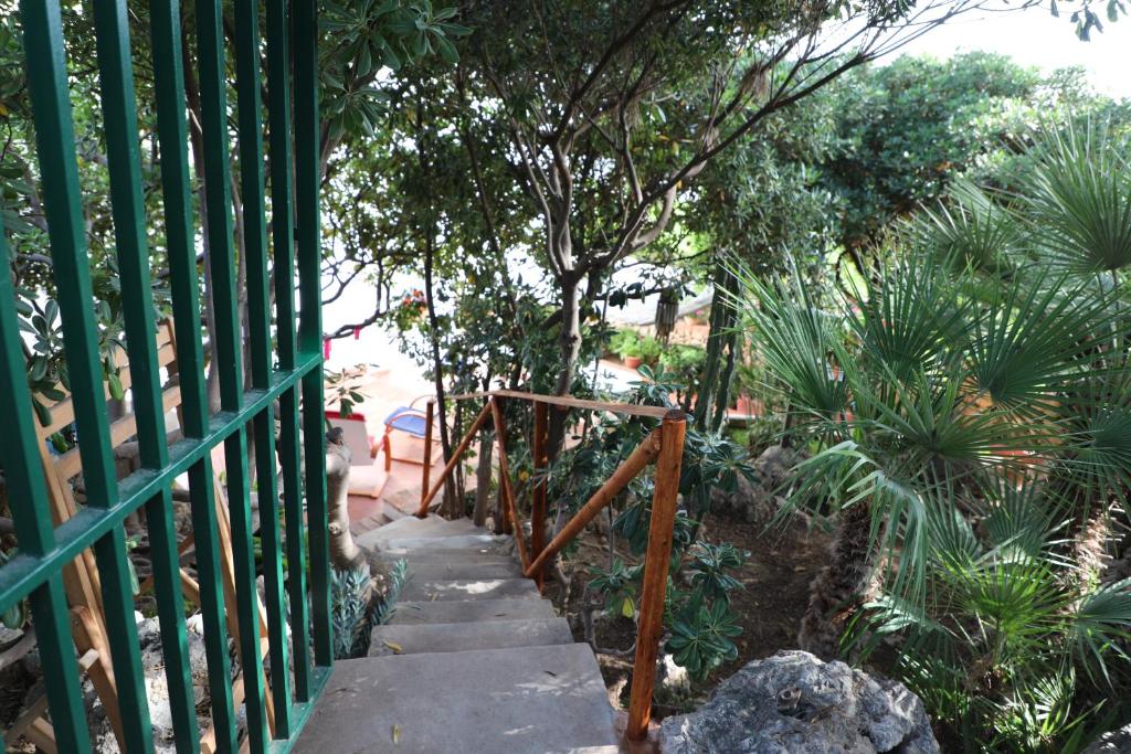 einen Gartenweg mit einem grünen Zaun und Bäumen in der Unterkunft Casa Elvira in Terrasini