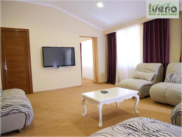 TV a/nebo společenská místnost v ubytování Hotel Iveria