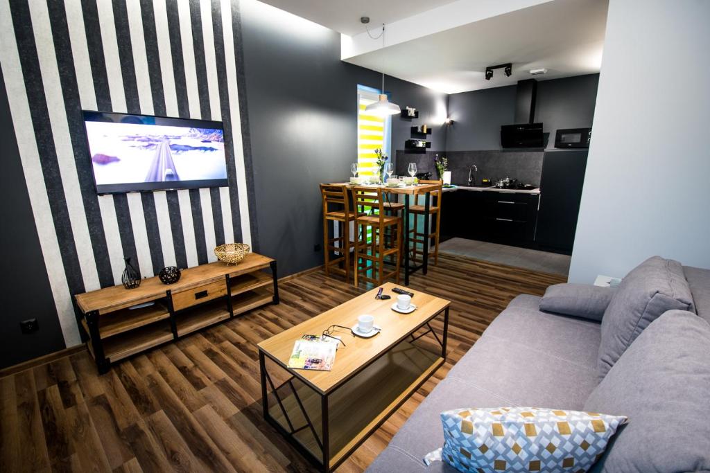 - un salon avec un canapé et une télévision dans l'établissement Apartament Kustronia z Garażem, à Bielsko-Biała
