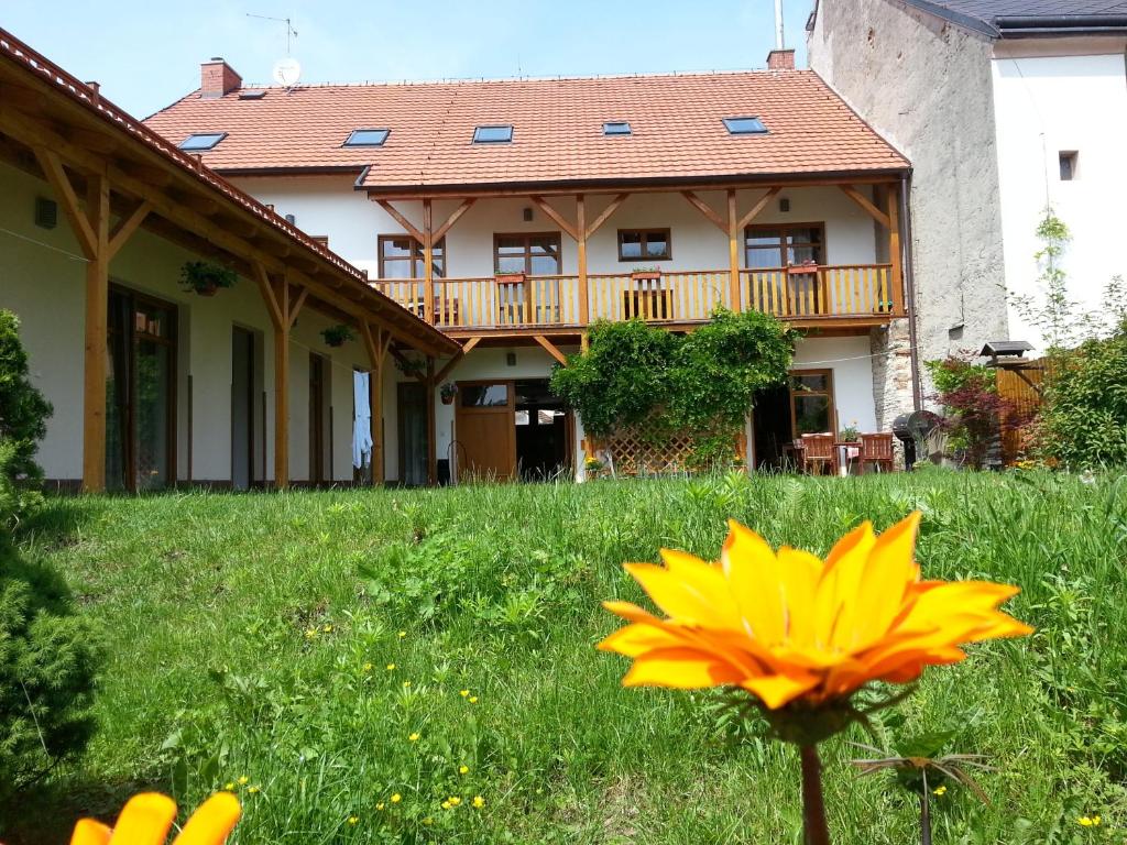 a yellow flower in the grass in front of a house at Pension Rondel in Poděbrady