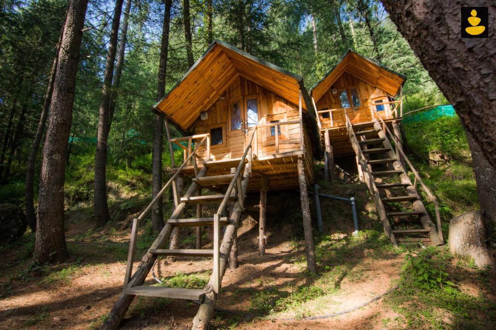 a tree house in the middle of the forest at LivingStone Ojuven Treehouses in Shimla