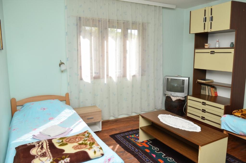 TV a/nebo společenská místnost v ubytování Kuca za odmor Radovanovic