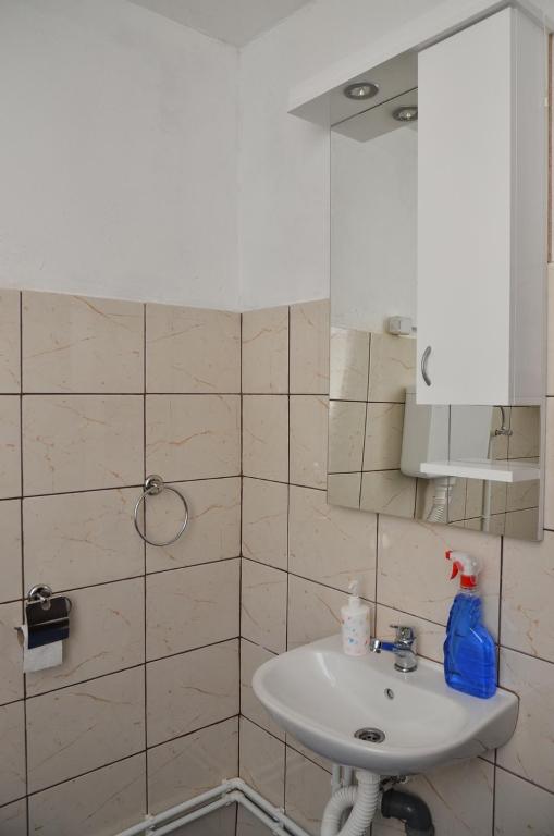 Koupelna v ubytování Kuca za odmor Radovanovic