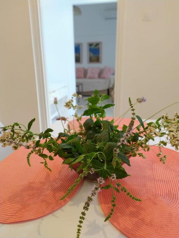 Fotografie z fotogalerie ubytování Kalymnos residence v destinaci Kalymnos