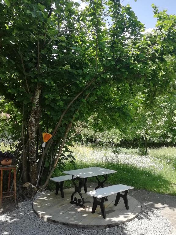 Zahrada ubytování Guest House Carpediem
