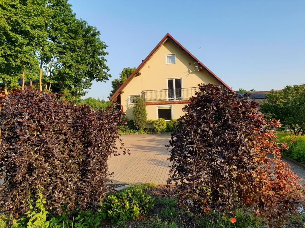 Gospodarstwo Agroturystyczne Damroka - Housity