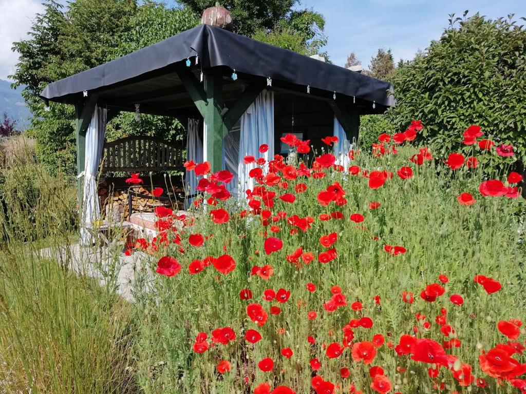 Zahrada ubytování Landhaus Egger
