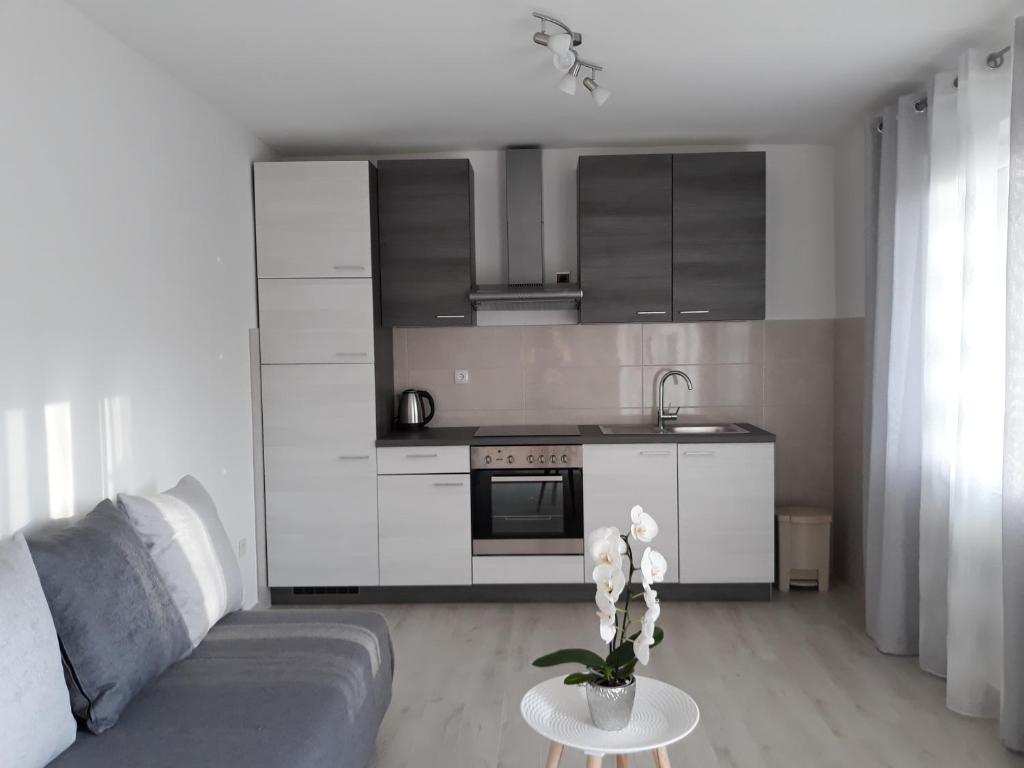 Kuchyň nebo kuchyňský kout v ubytování Apartment Star Danica***