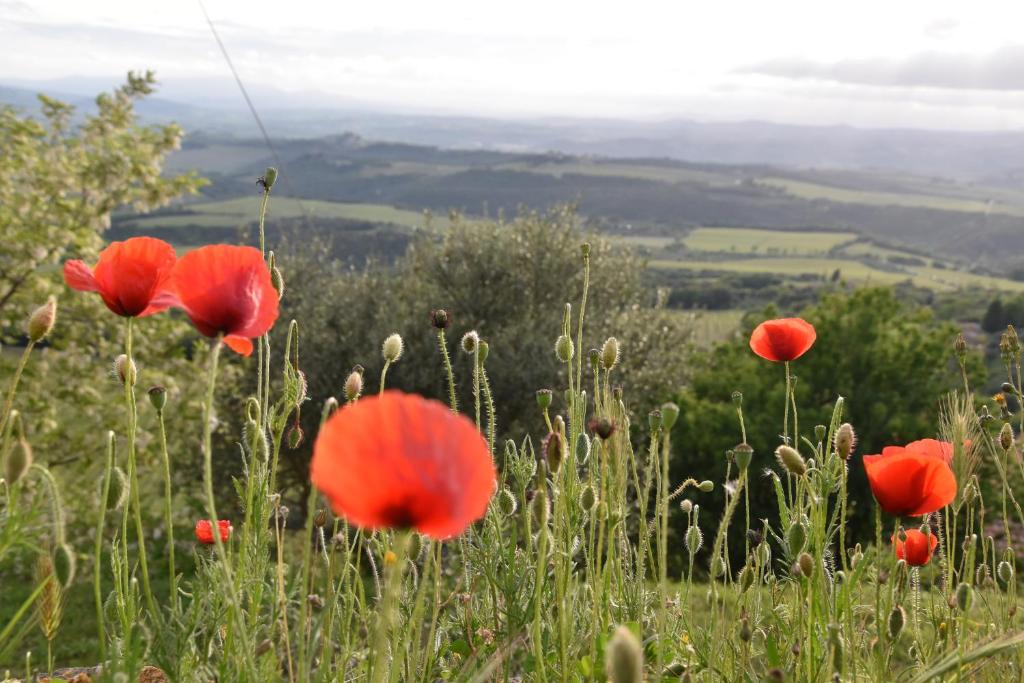 Pokrajina v okolici počitniške hiške