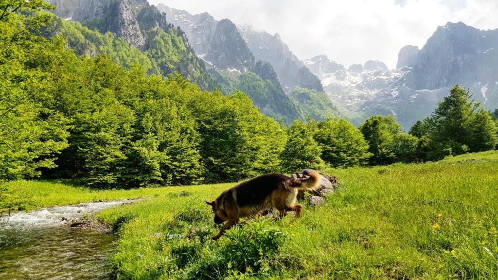 Bungalows Prokletije - 18