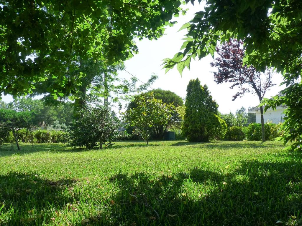 a park with green grass and trees in the background at Casa da Balseira in Aveiro