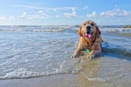 Private Caravan On Ty Mawr Holiday Park North Wales Conwy Updated 2021 Prices