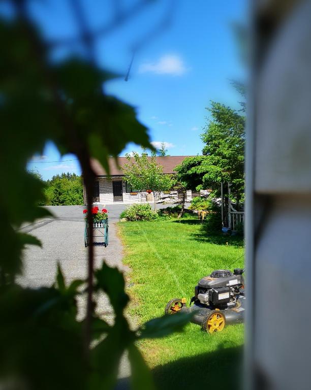 Zahrada ubytování Motel Alexandrin
