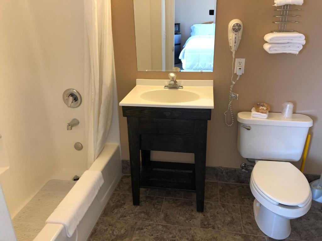 a bathroom with a sink and a toilet and a mirror at Meadowcliff Lodge Coleville in Coleville
