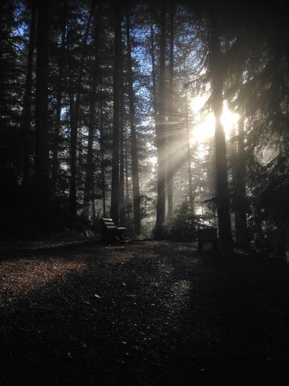 8 on Oregon Boutique Lodge - Resim 37