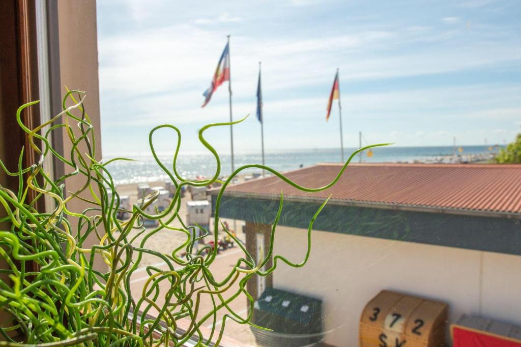 a plant sitting on a window sill with flags at Strandhaus Nr. 9 OG re. in Dahme