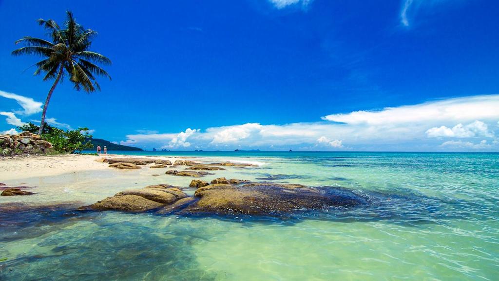 Căn hộ Seacondo-1 phòng ngủ A12, bãi biển Klong Muang - Giá cập nhật năm 2024: Với nội thất sang trọng và view biển đẹp mắt, căn hộ Seacondo-1 phòng ngủ A12 tại bãi biển Klong Muang là sự lựa chọn tuyệt vời cho những du khách yêu thích tĩnh lặng và sự riêng tư. Giá cập nhật đến năm 2024 sẽ giúp bạn dễ dàng lựa chọn và sắp xếp chuyến du lịch của mình một cách tiện lợi và thuận tiện. Đừng bỏ lỡ cơ hội tuyệt vời này!