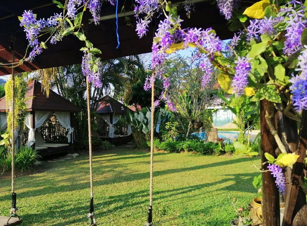 Zahrada ubytování Homestay Chiangrai