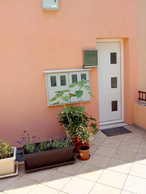 Sunshower apartment and studio - 7