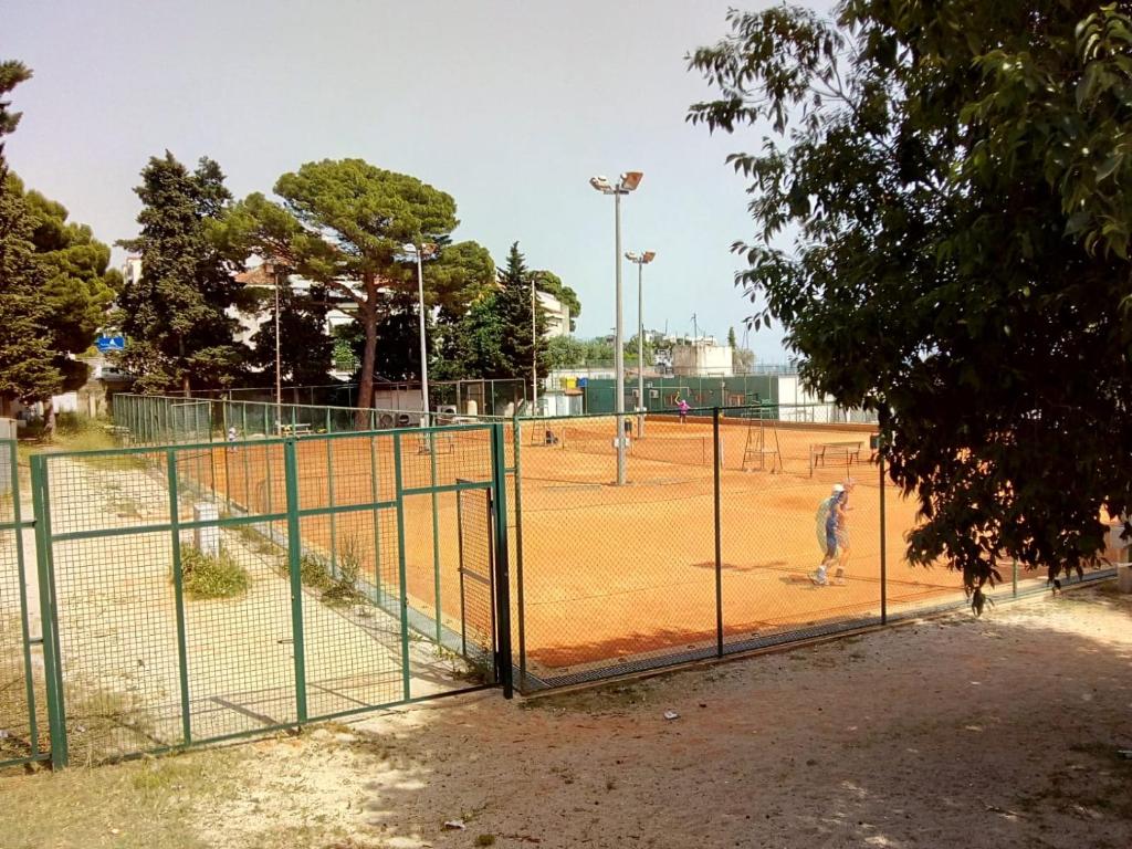 Sunshower apartment and studio - 3