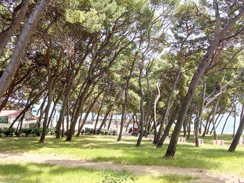 Sunshower apartment and studio - 13