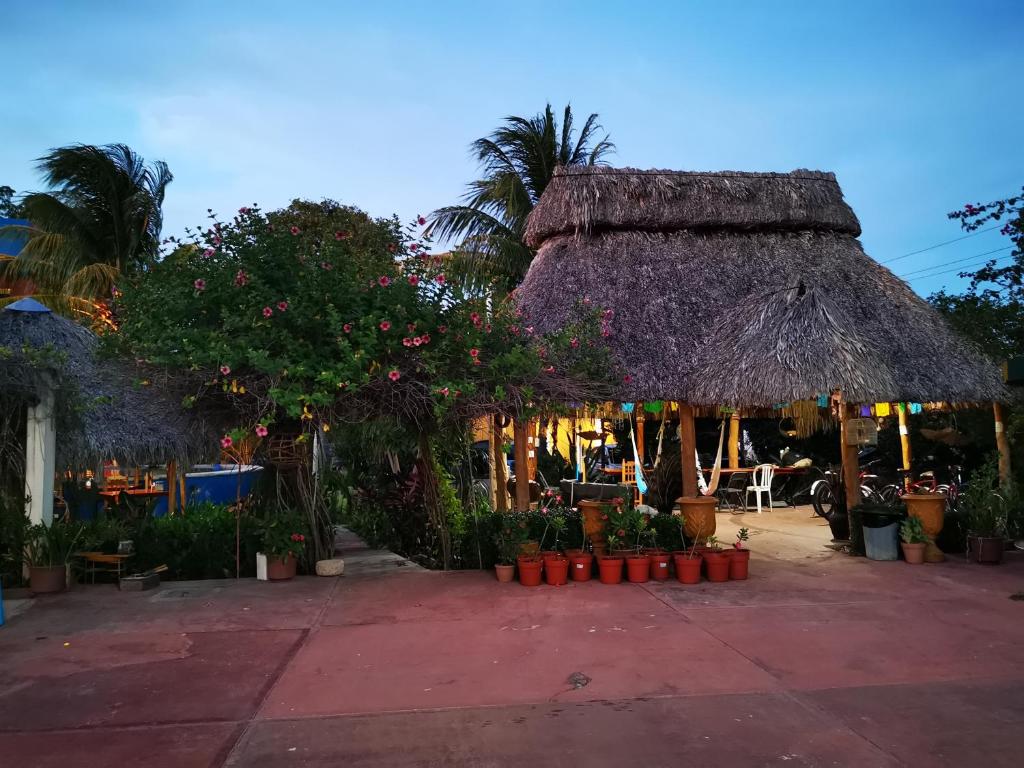 Jardí fora de Casa Xu´unan