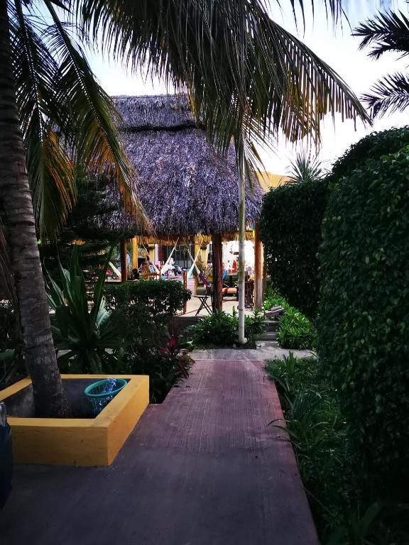 Jardí fora de Casa Xu´unan