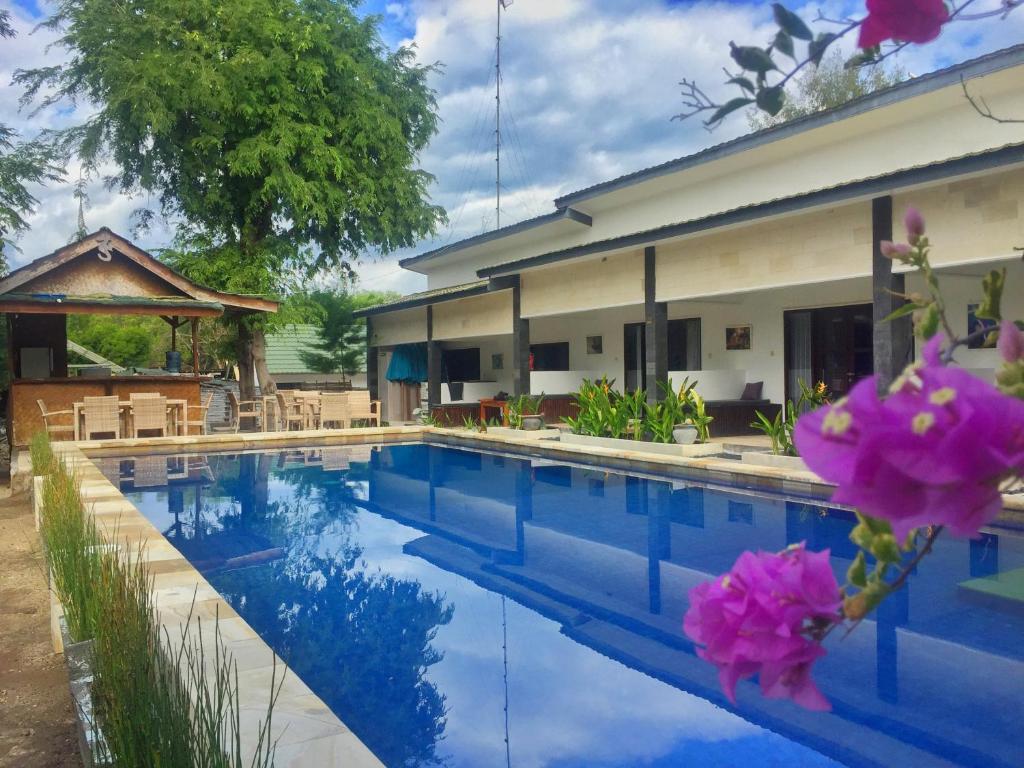 Divine Divers Gili Meno - 1