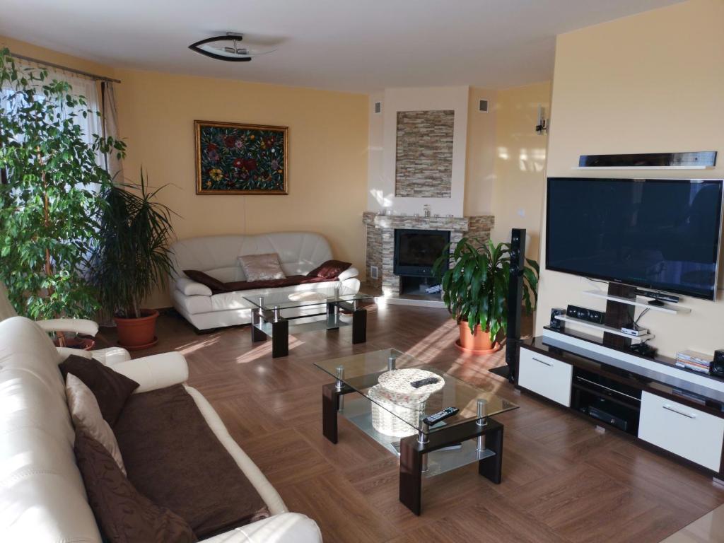 a living room with a couch and a large television at Synergy House in Dudince