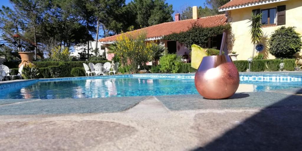 un grande vaso seduto accanto alla piscina di B&B Romangia a Sorso