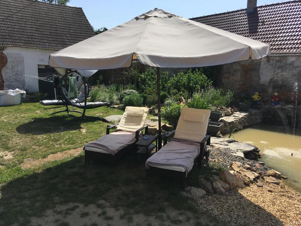 Zahrada ubytování Apartmány Patriot