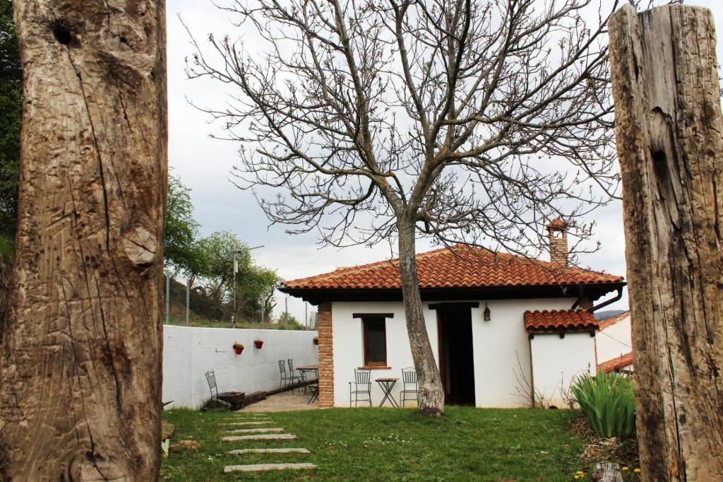 A garden outside El Nogal De Laguna