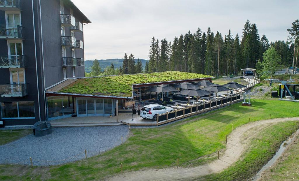 Příroda nedaleko hotelu