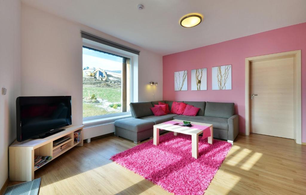 TV a/nebo společenská místnost v ubytování Apartmán u Kamila