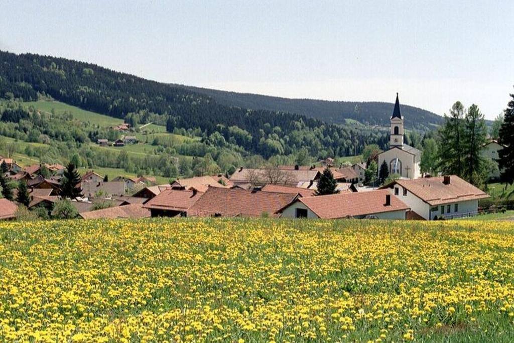 Příroda nedaleko hotelu
