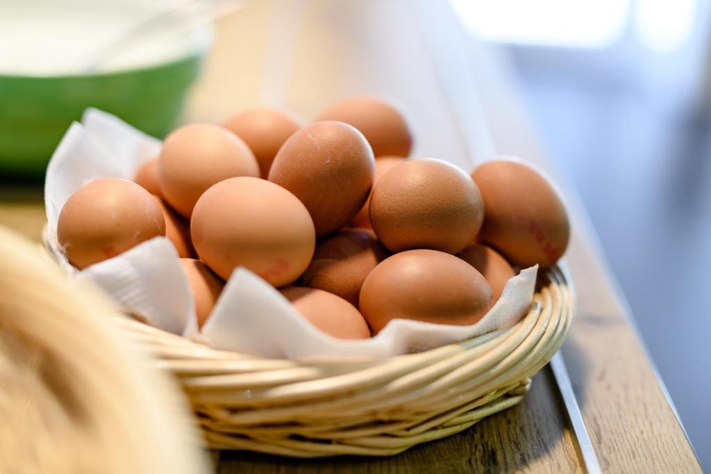 ibis budget Winterthur - Resim 43