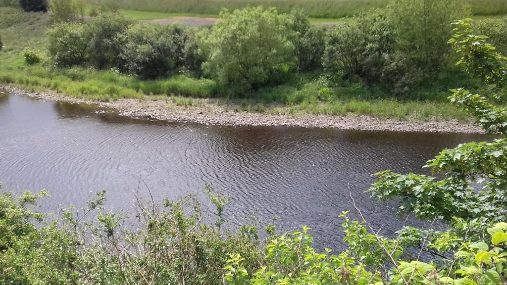 uma massa de água com árvores e arbustos em Castle View em Listowel