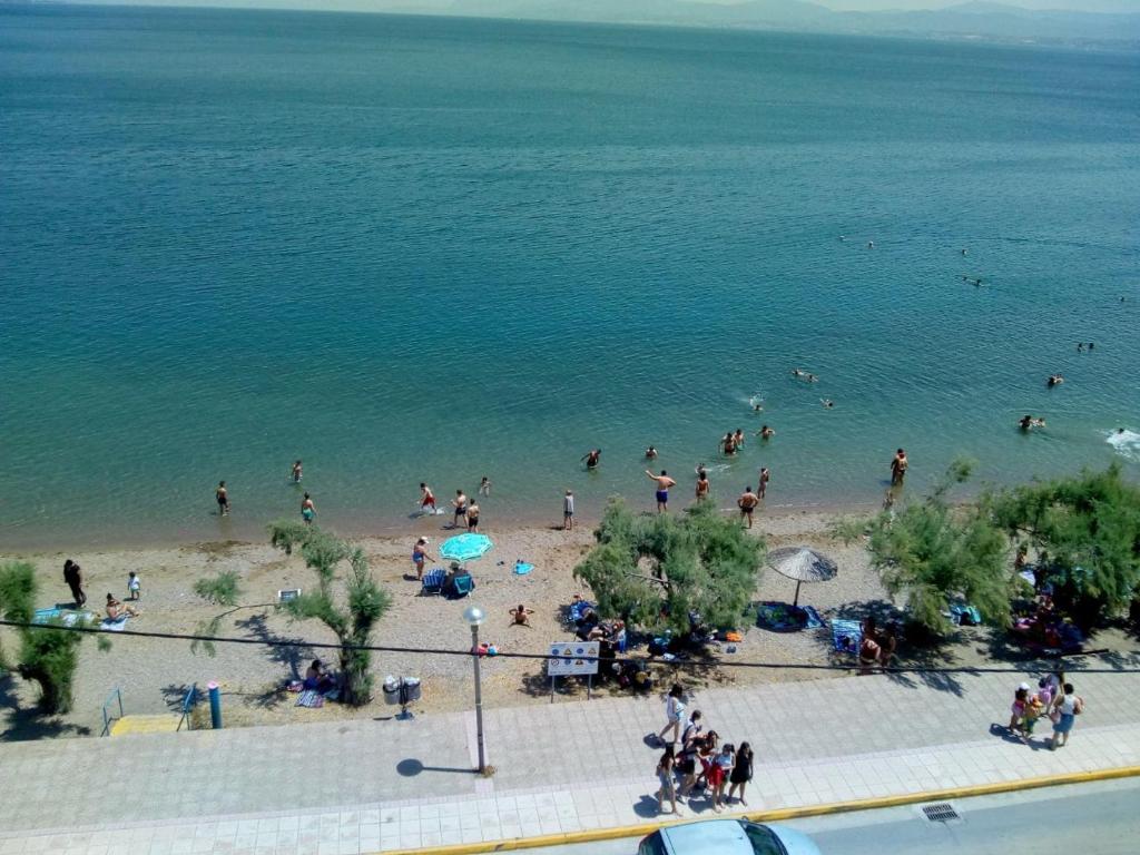eine Gruppe von Menschen am Strand im Wasser in der Unterkunft Poseidon Hotel in Lefkandi Chalkida