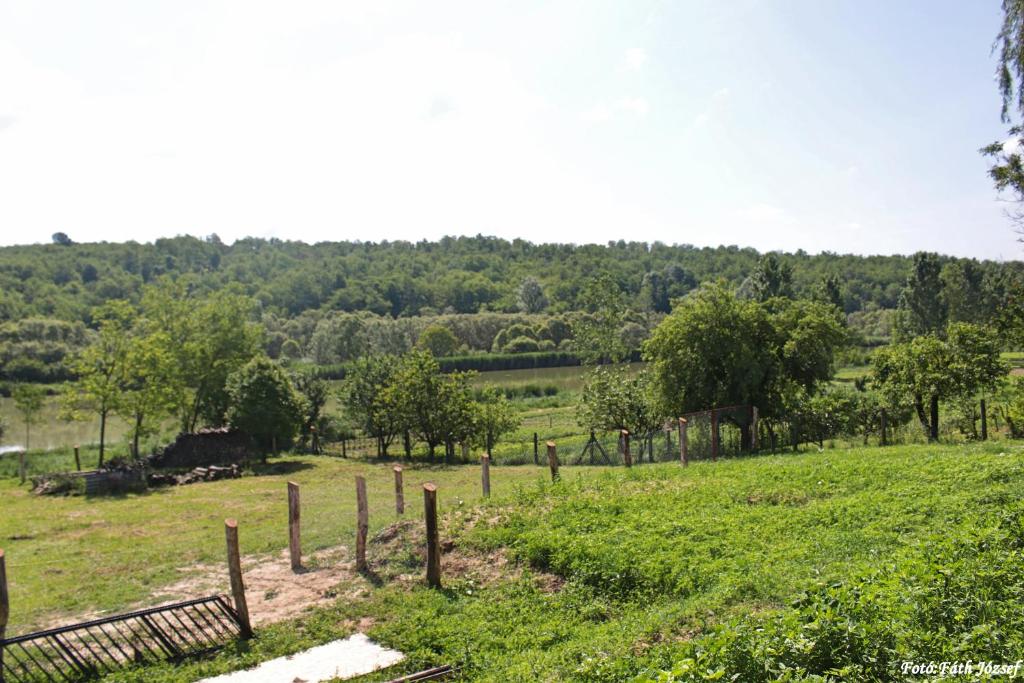 Příroda nedaleko apartmánu